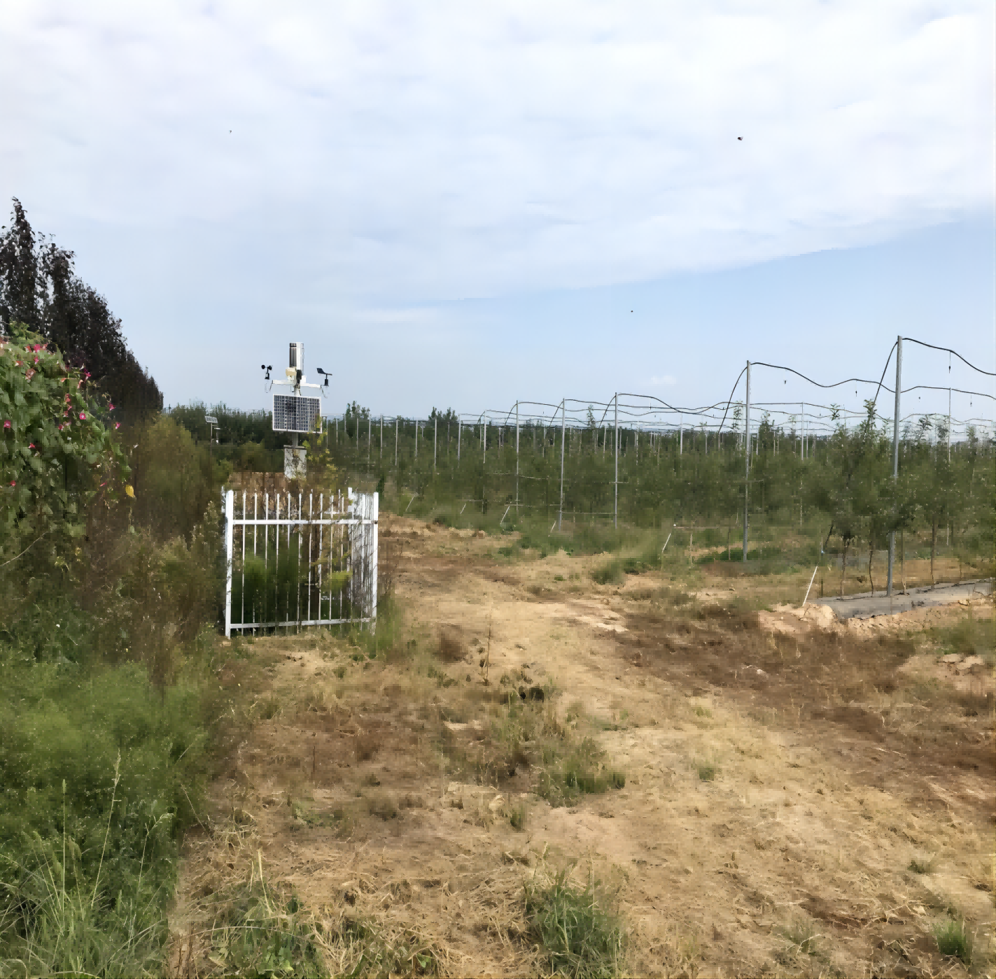 运城市芮城县有机旱作水肥一体化建设项目