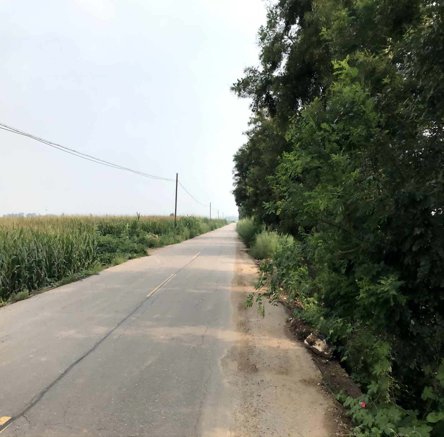 忻州市忻府区高标准农田绿色植保建设项目